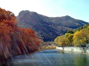 澳门天天免费精准大全，大叶女贞产地